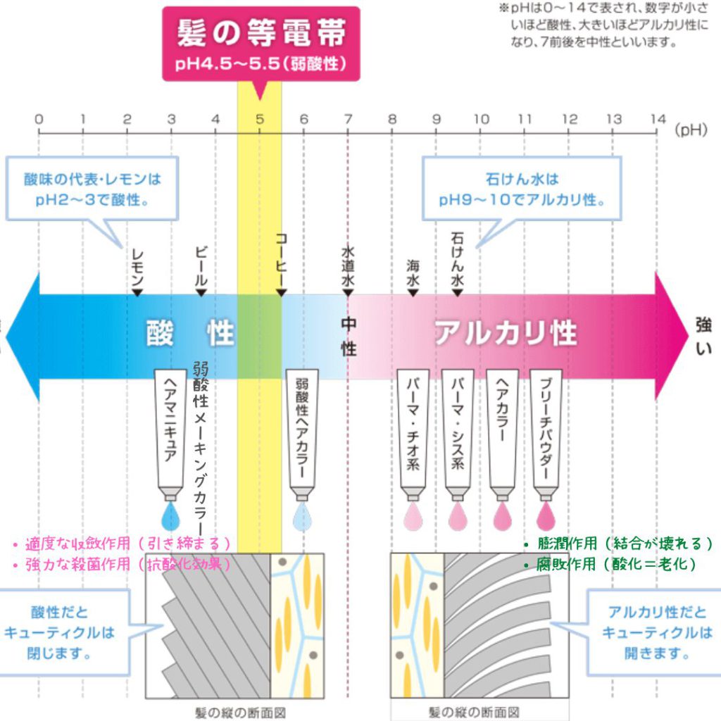 弱酸性に保つことが髪が元気！　アルカリに傾くとたんぱく質（髪・頭皮）に悪影響な訳。