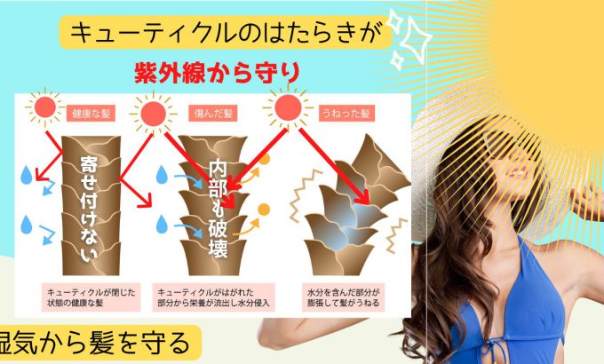 生きている髪の毛を扱うスペシャリストとして。　自然な状態でカットをするのか、重たい髪でカットをするのか。