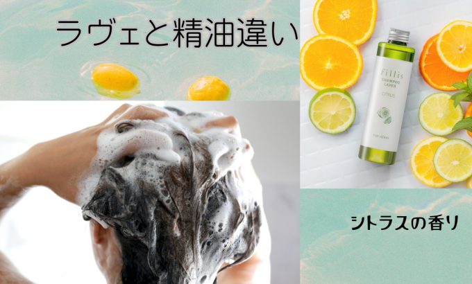 ＜予約受付中＞シャンプー ラヴェ　シトラス　 大好評！　シャンプーラヴェの香り違いシリーズです
