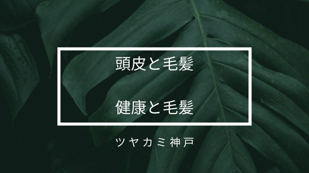 「頭皮ケアと毛髪」について　～頭皮と髪の健康を考える頭皮ケア中心的美容室♪