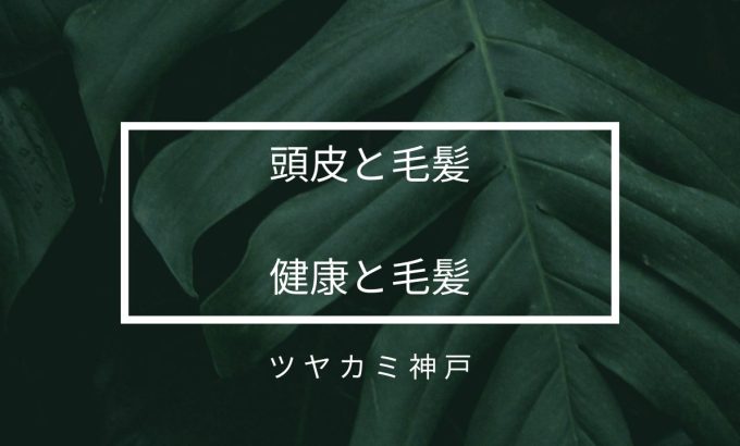 「頭皮ケアと毛髪」について　～頭皮と髪の健康を考える頭皮ケア中心的美容室♪