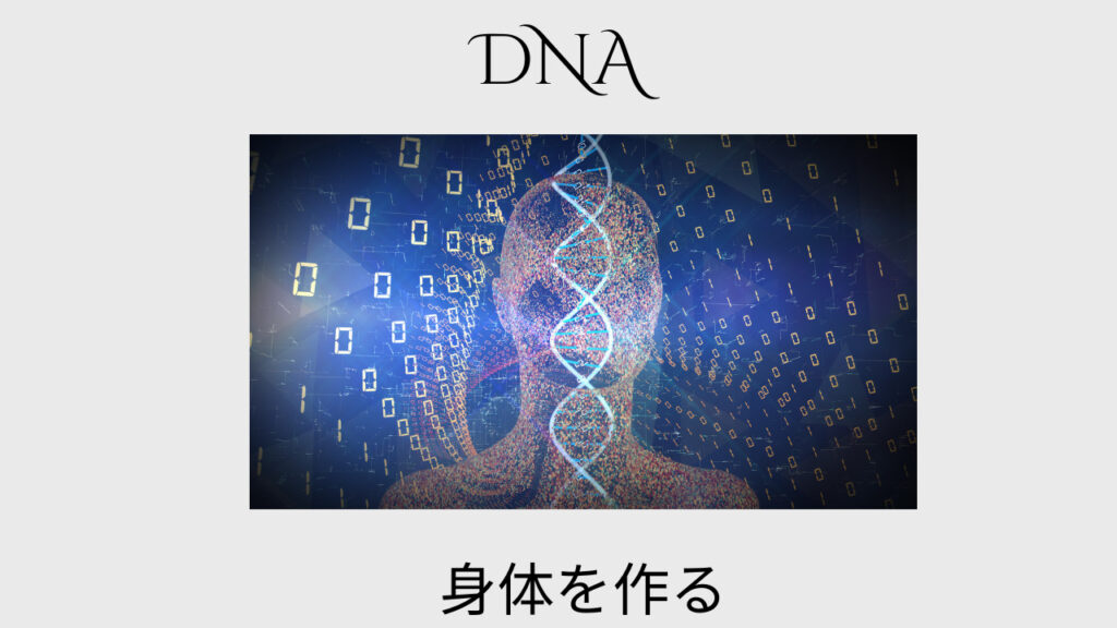 「遺伝子から整えるわたしのからだ。〜細胞・食事・そして美容のつながり〜」