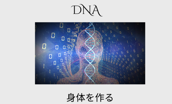 「遺伝子から整えるわたしのからだ。〜細胞・食事・そして美容のつながり〜」