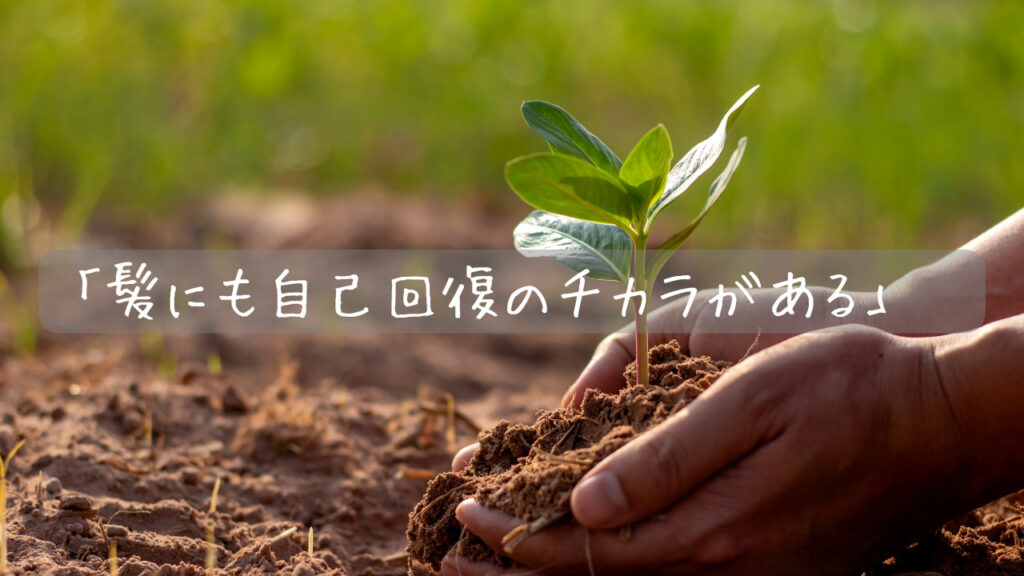 「髪にも自己回復のチカラがある」  「敏感な髪と肌に、寄り添うケアを。」  「素材にこだわるサロンケアで、本来の髪を整える」