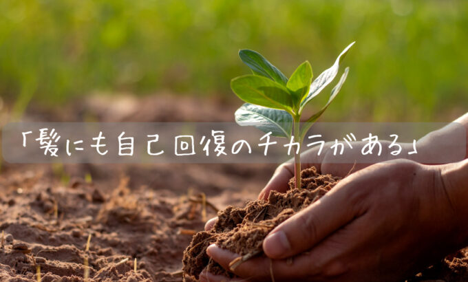 「髪にも自己回復のチカラがある」  「敏感な髪と肌に、寄り添うケアを。」  「素材にこだわるサロンケアで、本来の髪を整える」