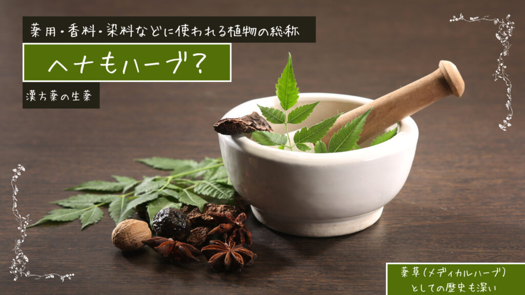 ヘナもハーブ🌿？日本の薬草も実はハーブなんです🌿漢方薬にもハーブは使われます。すべて薬効を持つ植物です。