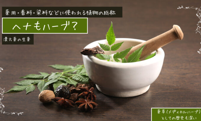 ヘナもハーブ🌿？日本の薬草も実はハーブなんです🌿漢方薬にもハーブは使われます。すべて薬効を持つ植物です。