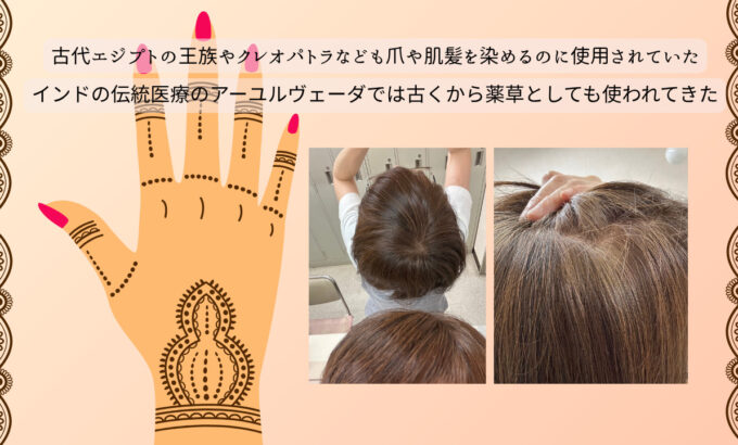 ヘナとは・・・お客様のヘナ後の写真と・・
